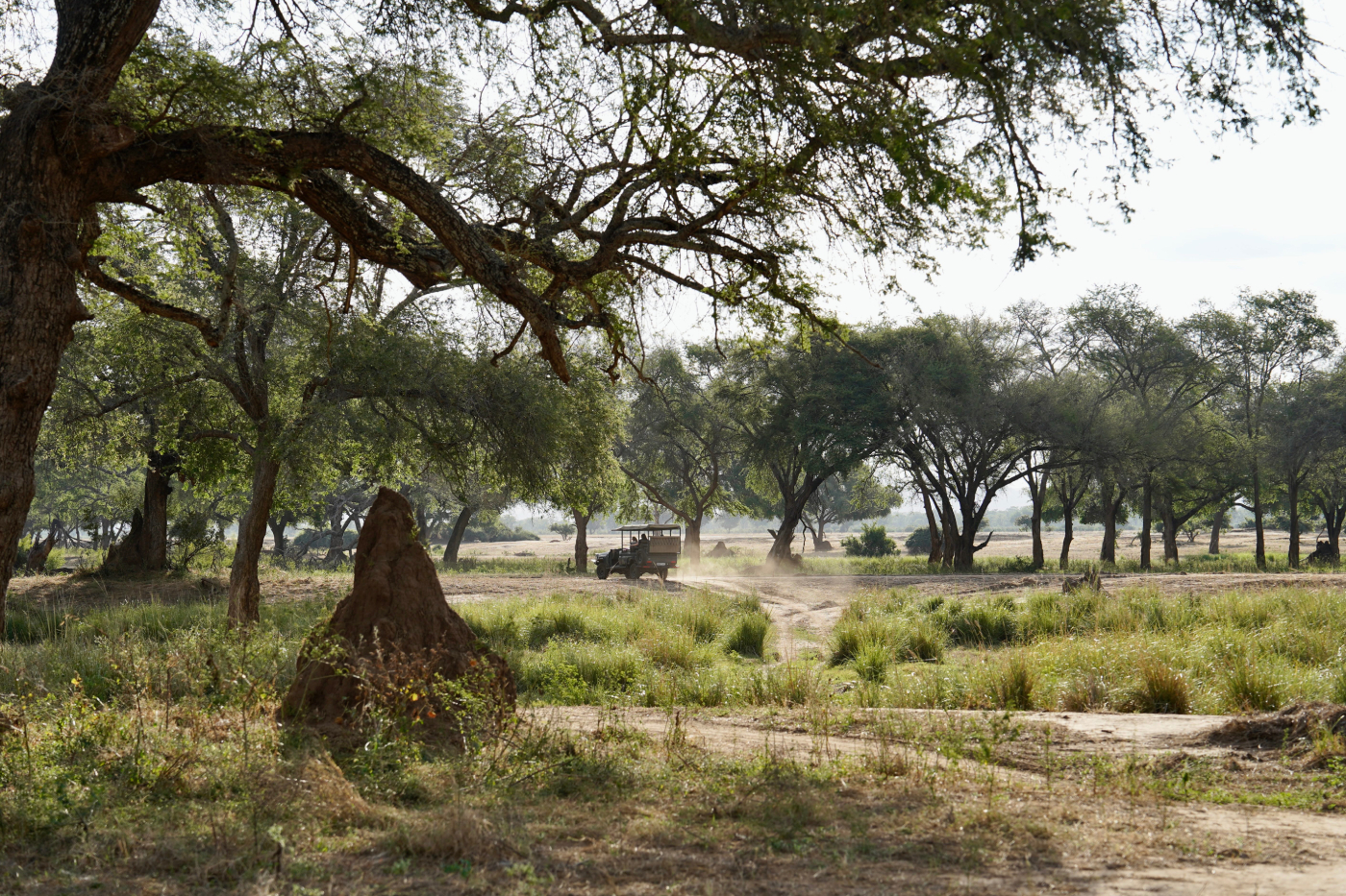 Zambezi Camp