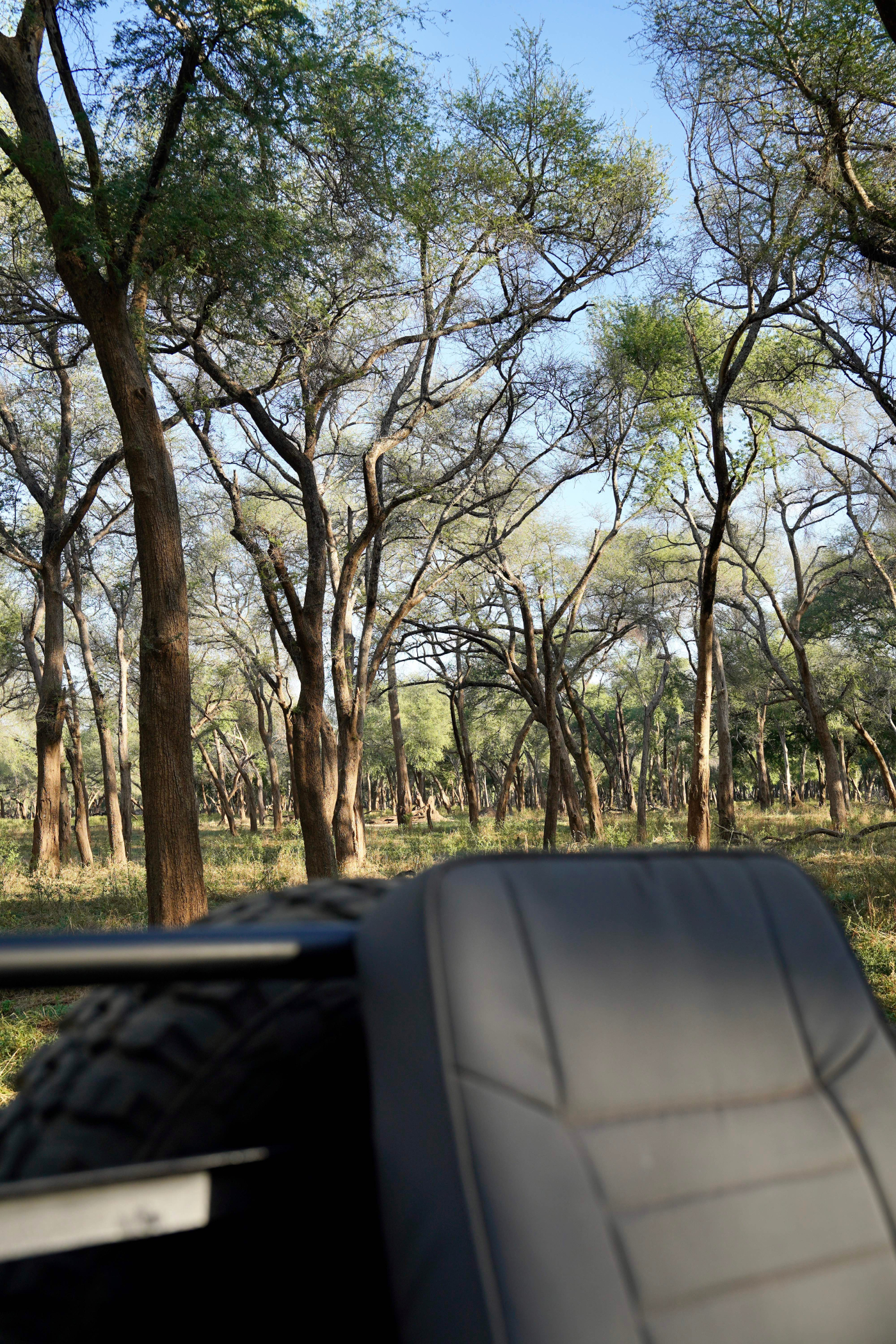 Lower Zambezi Safari