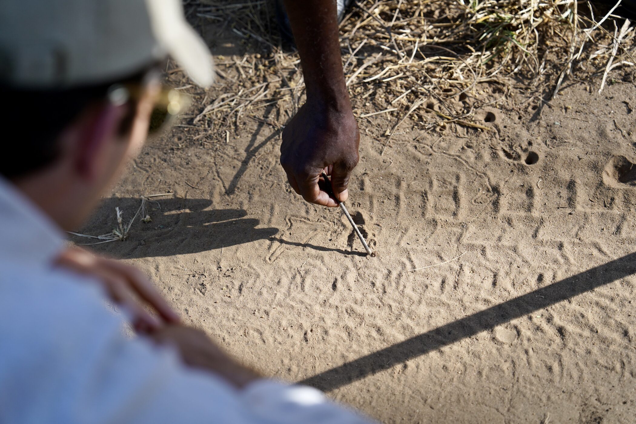 Lower Zambezi Safari animal tracking footprint