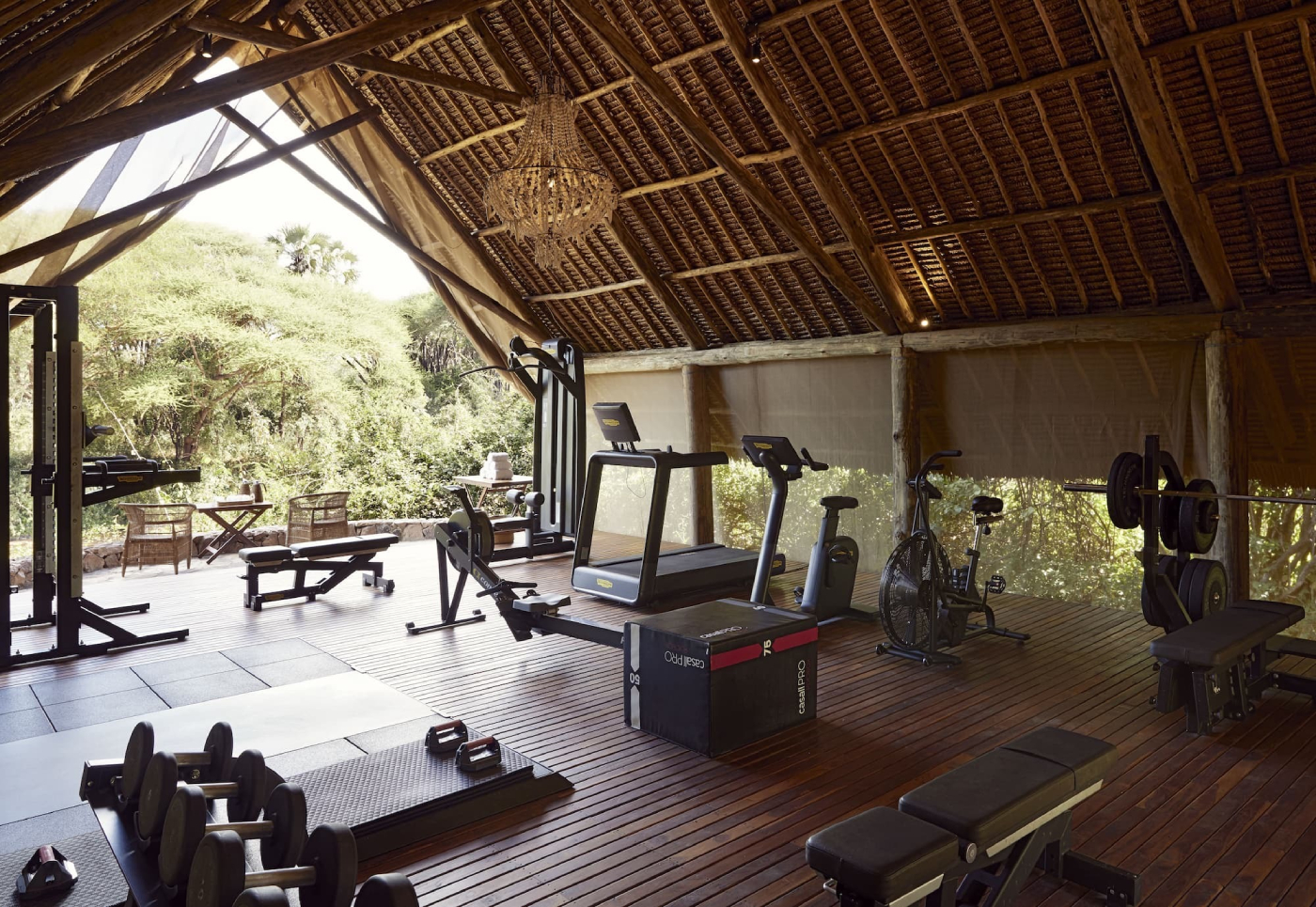 Safari gym