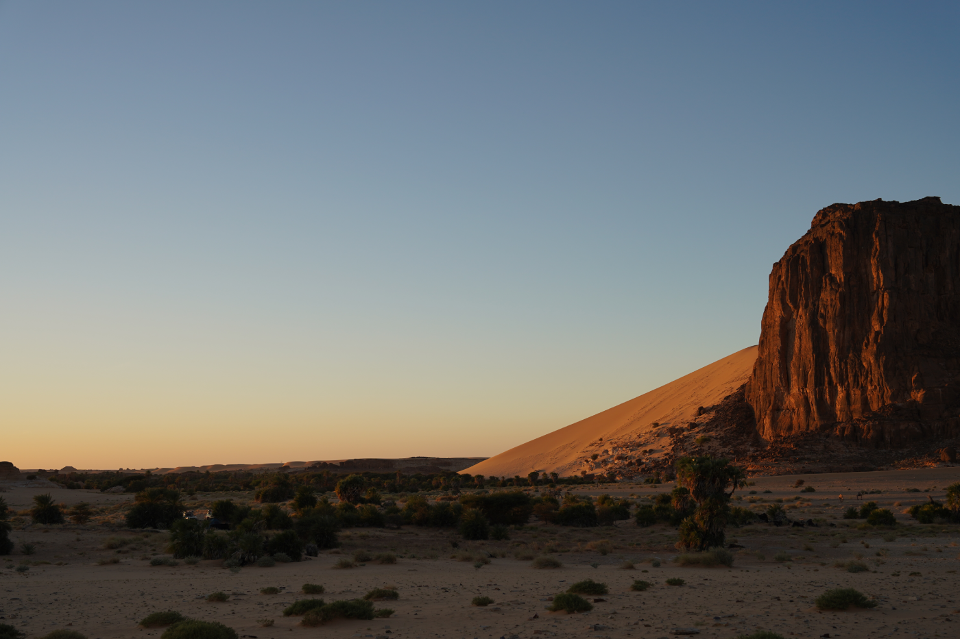 Chad AMADI Anoa Oasis