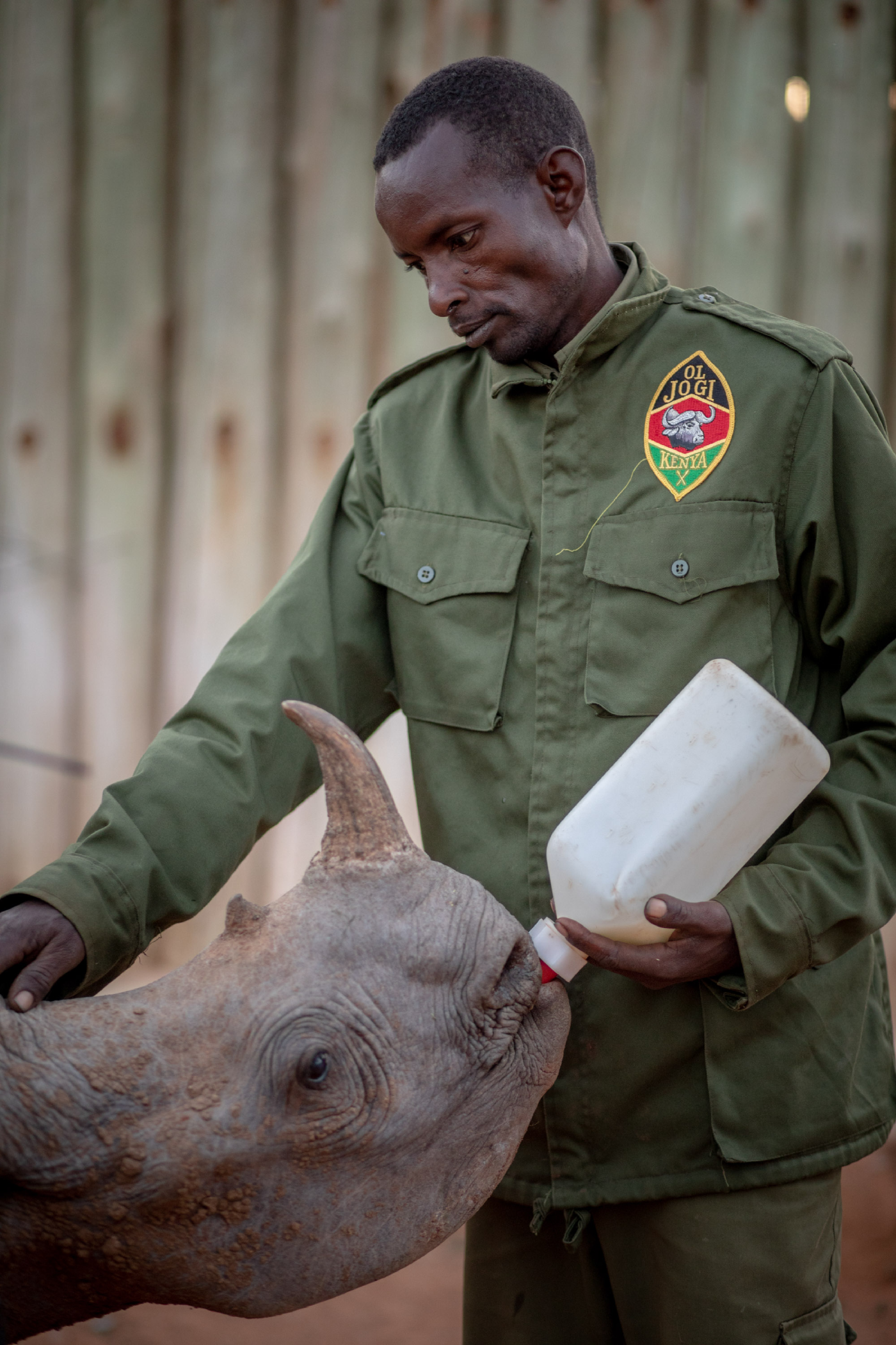 Ol Jogi Rhino Rescue Conservation