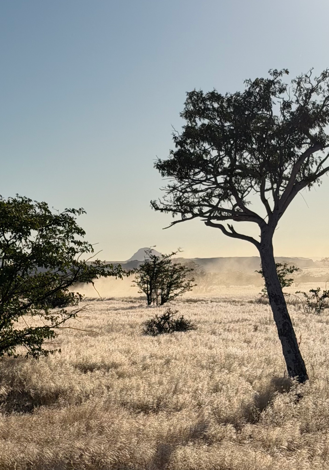 Onduli Ridge AMADI Namibia
