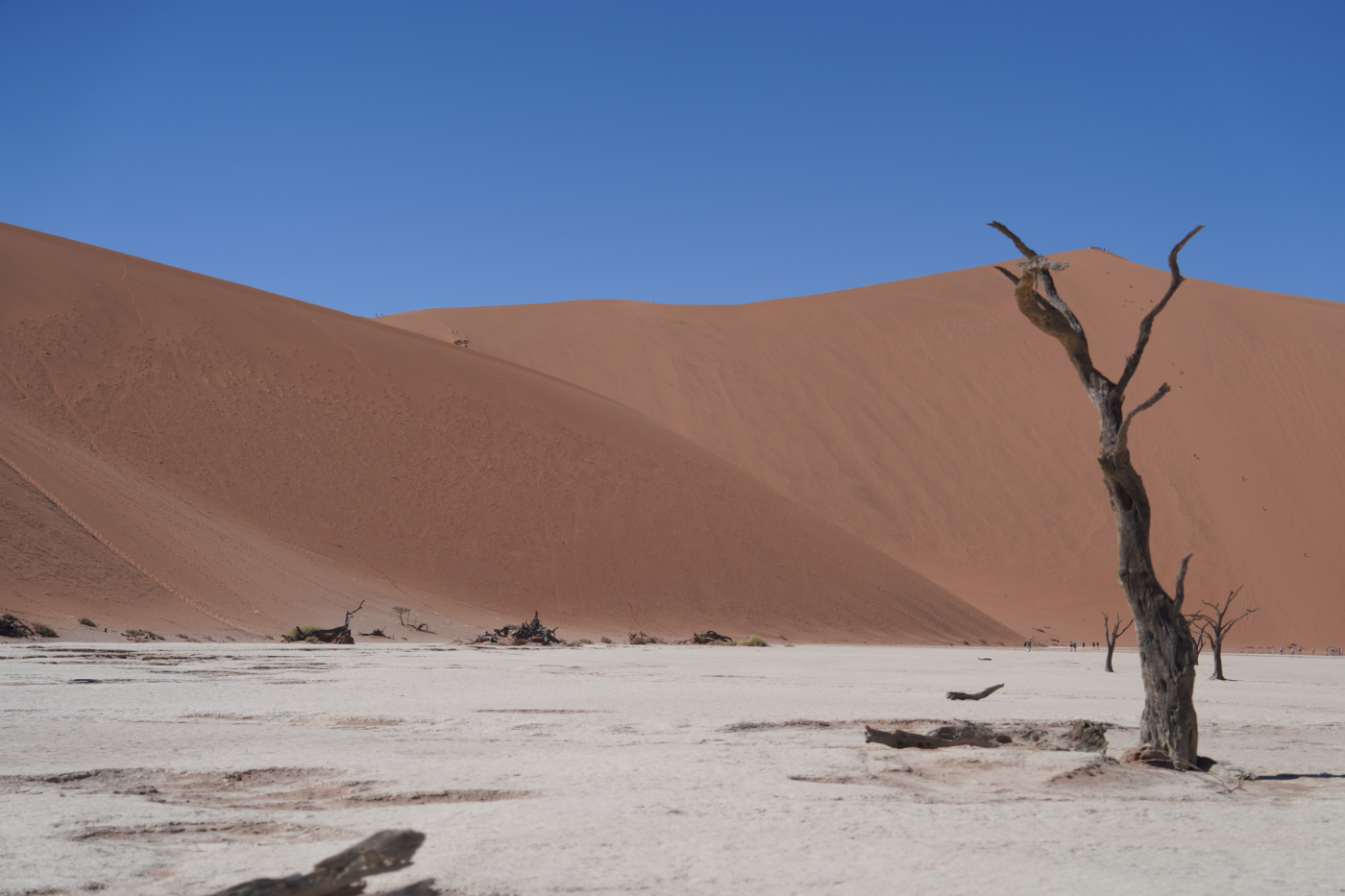 Sossusvlei - AMADI Namibia