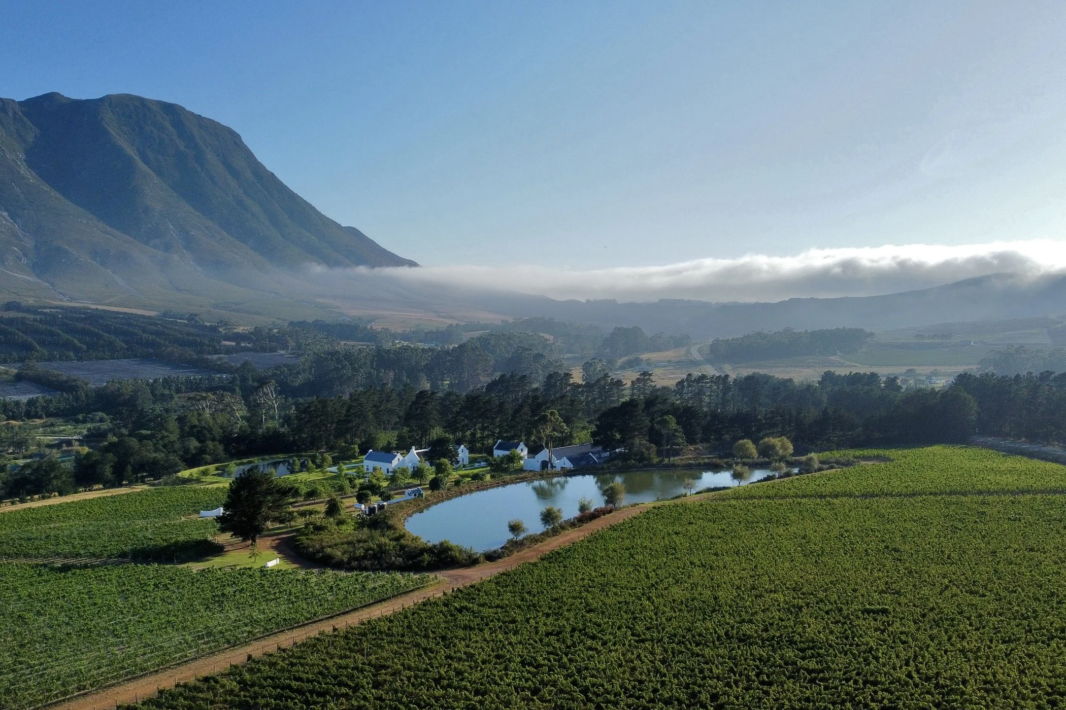 South Africa Finding its Terrior