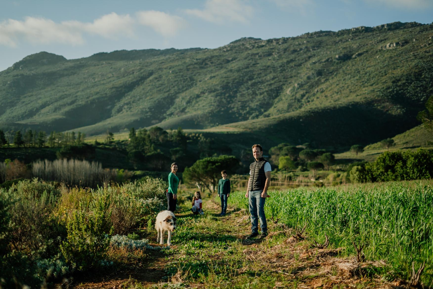 LS FC Mull Family Vineyard - AMADI