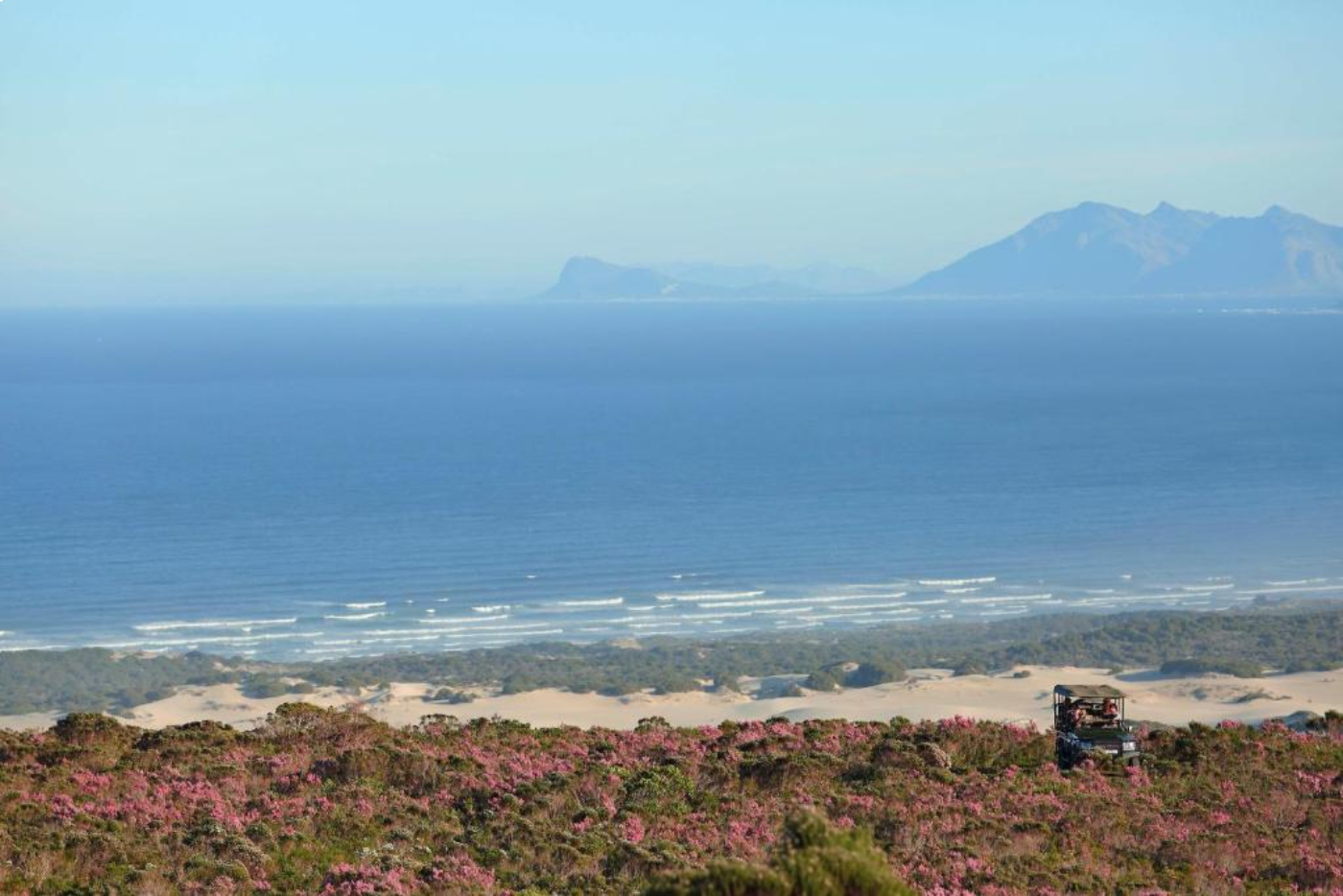 Grootbos Flower Safari