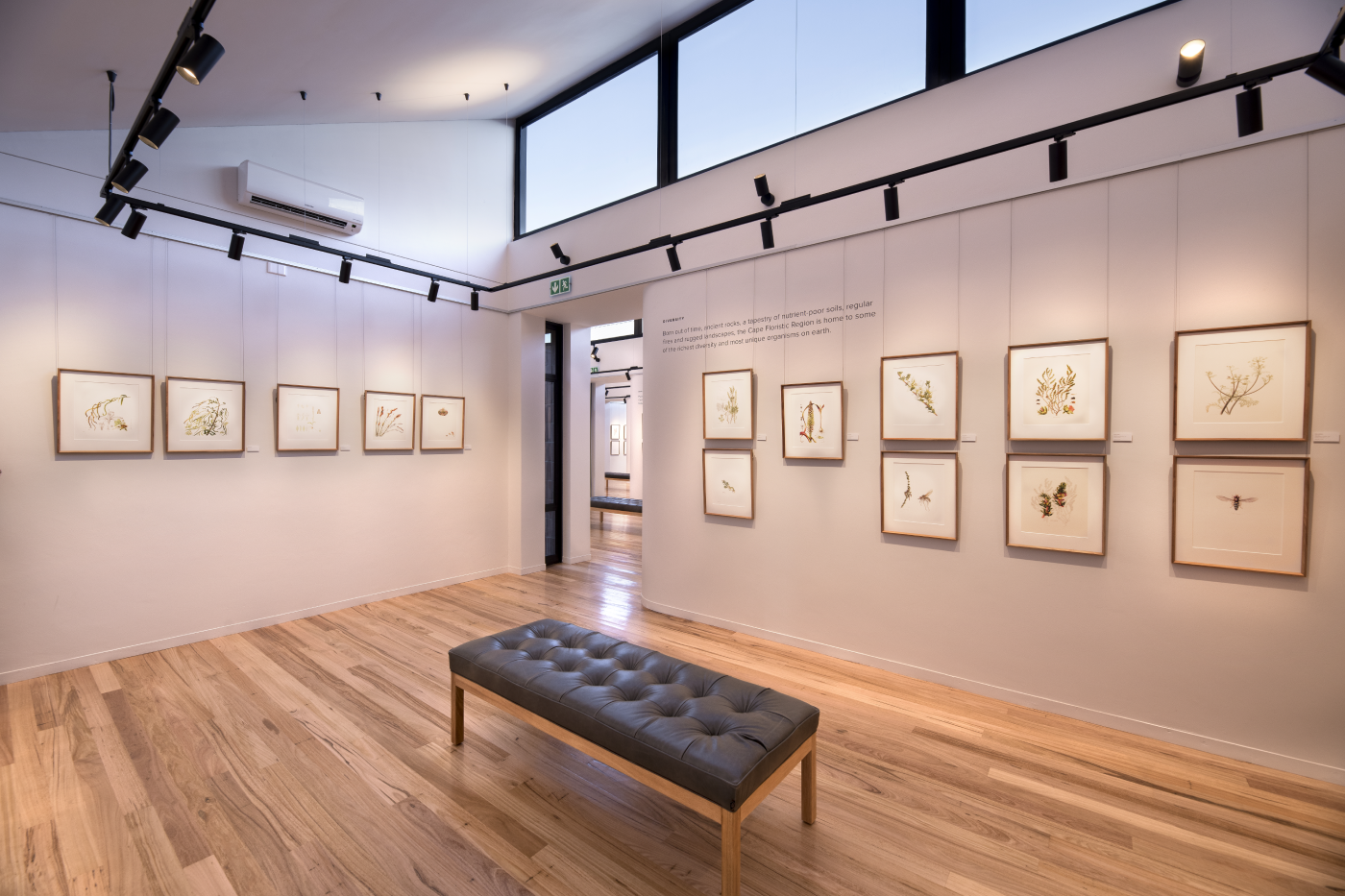 The Hannarie Wenhold Botanical Art Gallery